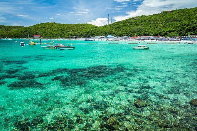 Coral Island Pattaya: Indian Lunch, Transfer (India Travelers) - Key points to know before you go