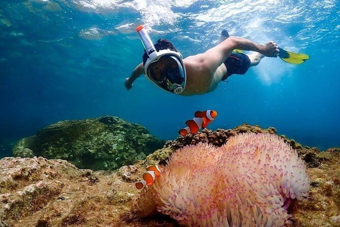 Coral Island Tour and Water Activities with Meal in Pattaya - Arrival on Koh Larn: Big Buddha views and beach orientation