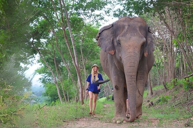 Pattaya: Private Speedboat 2-4 Islands Hopping with Lunch - The monkey island moment: why this stop can be extra fun